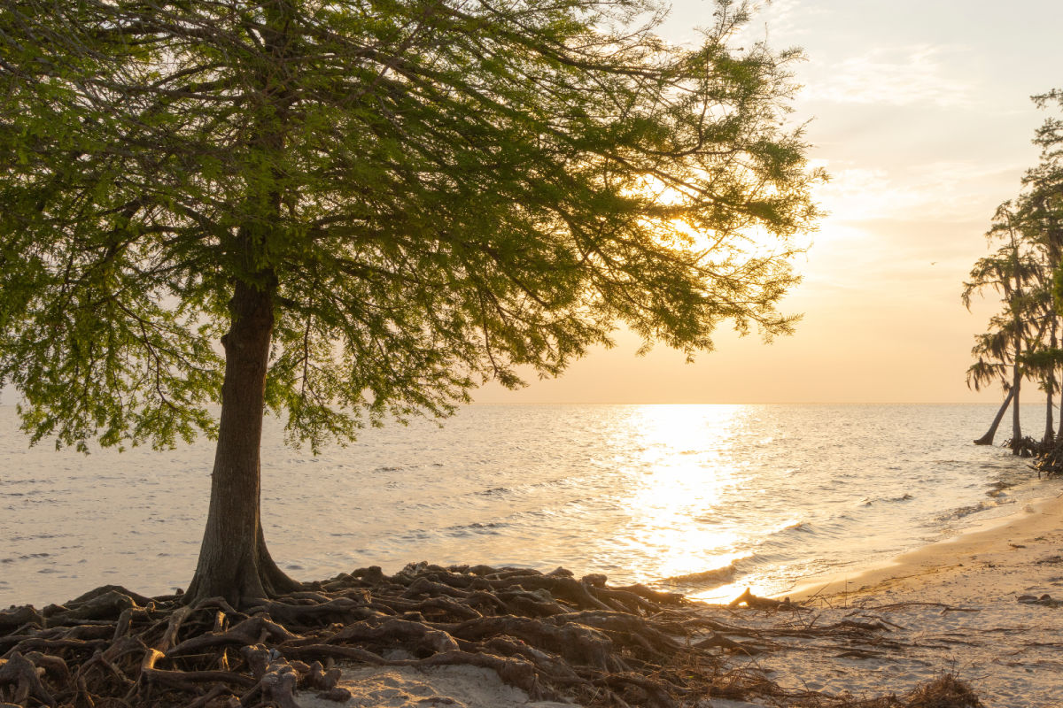 View of Lake Pontchartrain from Fontainebleau State Park