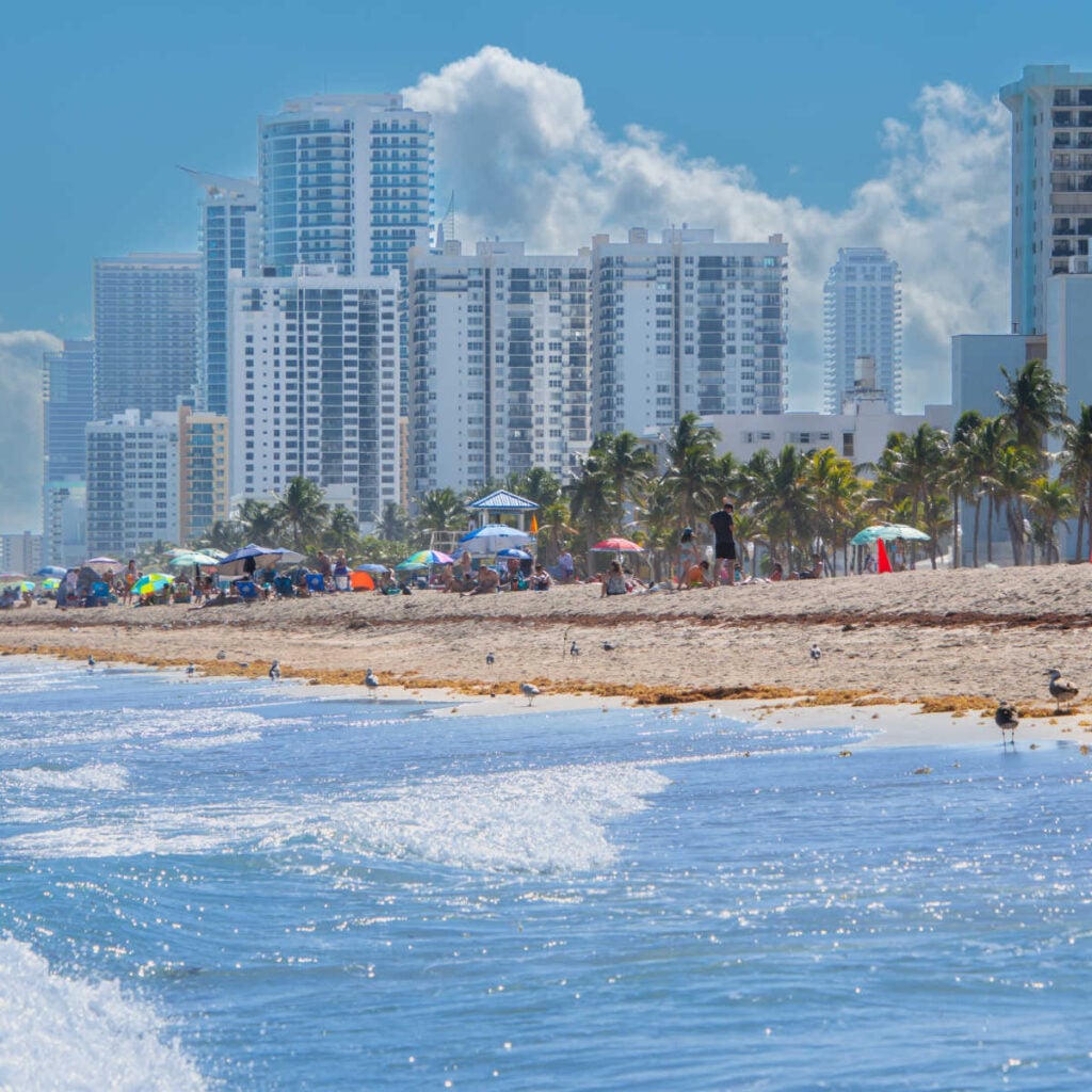 View of Miami from Virginia Key