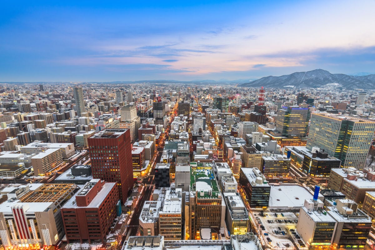 Aerial view of Sapporo, Japan skyline
