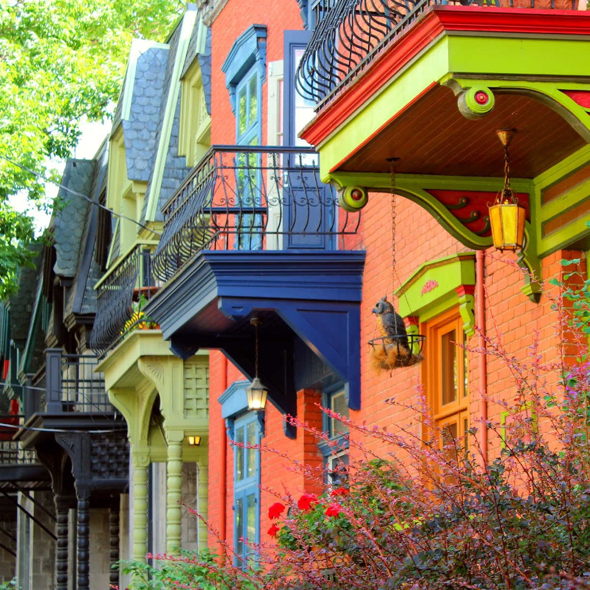 Colorful row of homes in Montreal