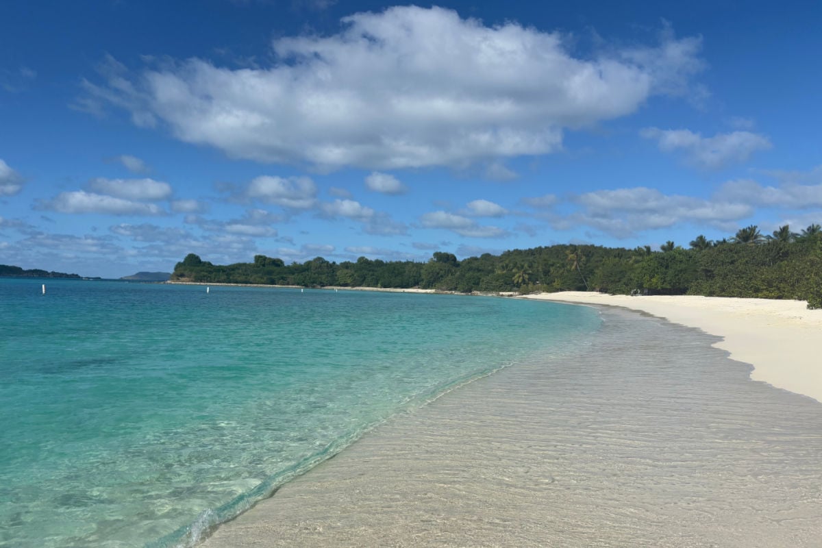 Gorgeous white sand beach in the Virgin Islands with turquoise water on a sunny day.