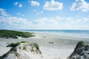 Padre Island National Seashore Dunes in Corpus Christi, TX