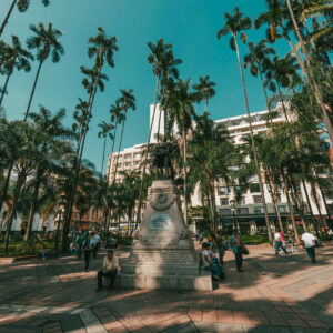 Palm-tree lined plaza in Cali, Colombia