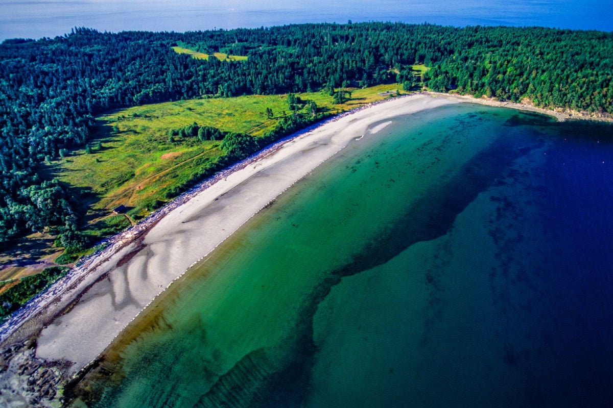 Pristine white-sand beach on Hornby Island, Canada