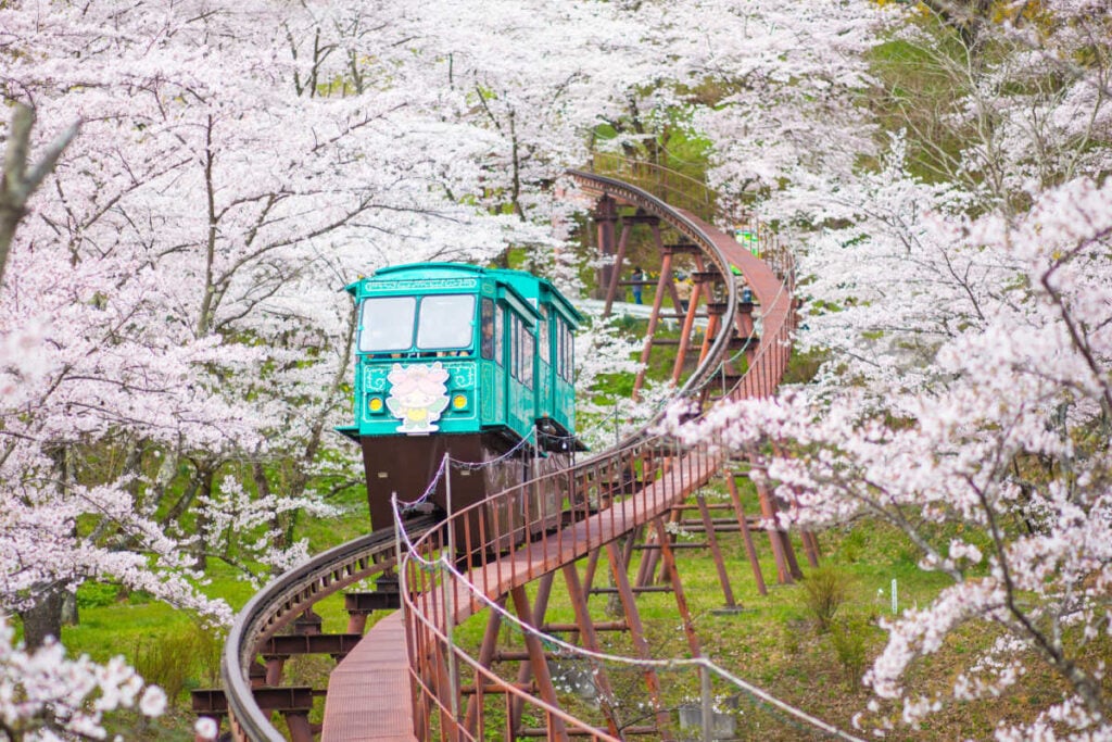 Slope Car Passing Sakura Tunnel, Sendai, Japan