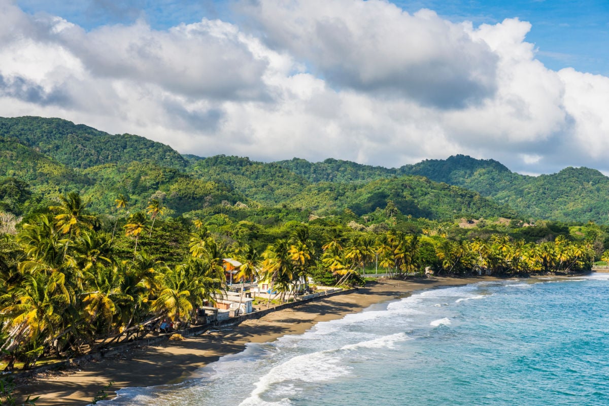 Lush jungle and vibrant coastline of Trinidad & Tobago