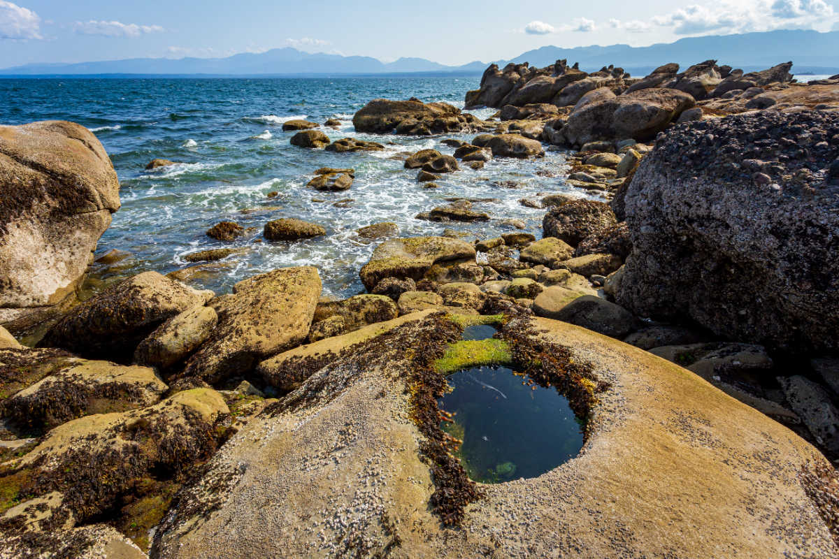 Tide pools on Hornby Island, Canada