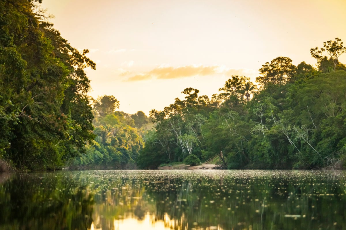 View on the Suriname river in Upper Suriname, Awarradam jungle camp