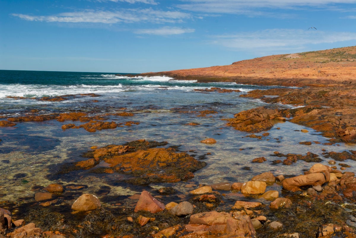 Argentina, Patagonia. Rocky shore at Cabo Dos Bahias