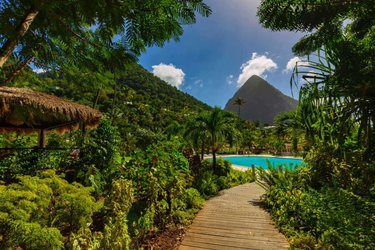 Dense jungles of La Souffriere Bay - Saint Lucia