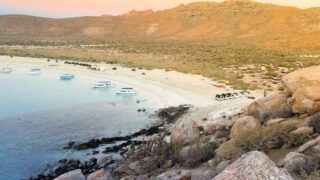 Isla Espiritu Santo near La Paz, Mexico. Photo by Tyler Fox