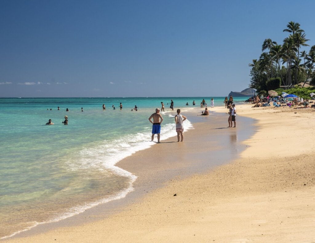 Laniakea Beach crowd Oahu