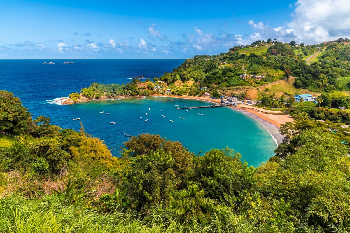 A view above Charlotteville Bay in Tobago on a bright day in January
