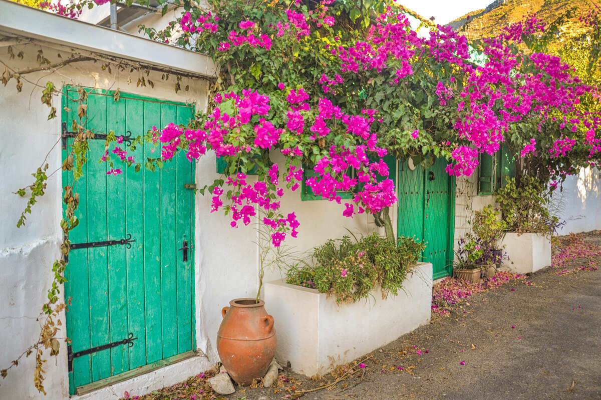 Bougainvillea Framed Streets In Kyrenia, Girne, Northern Cyprus