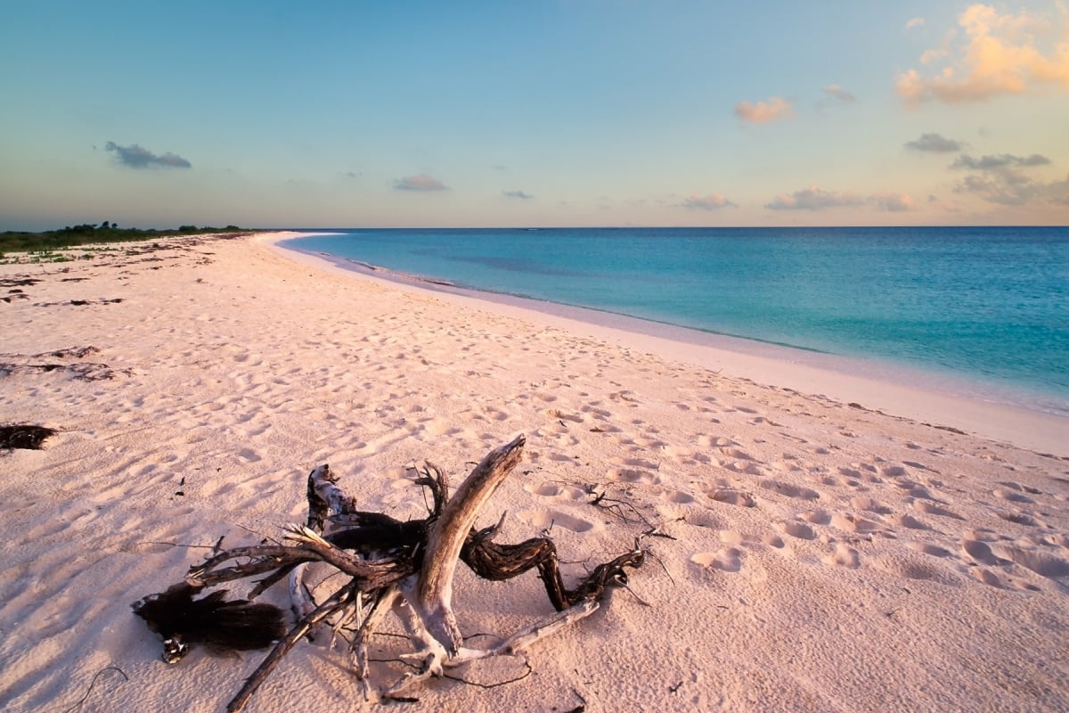 CARIBBEAN - BRITISH VIRGIN ISLANDS - ANEGADA ISLAND - beach at Pomato Point