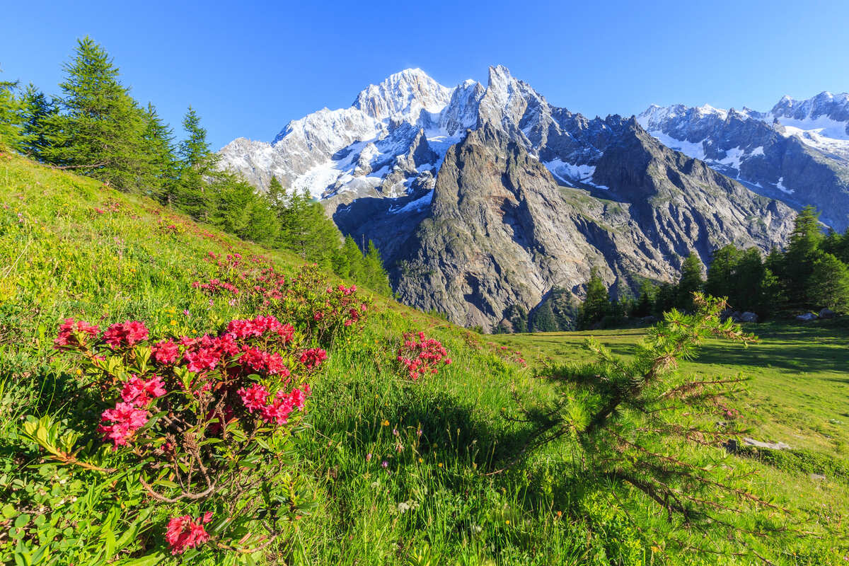 Americans Are Flocking To This Alpine Region Of Italy With Epic Mountains