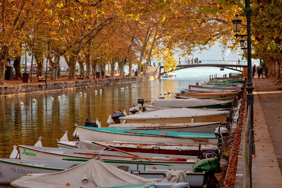 Autumn Foliage In Annecy, France