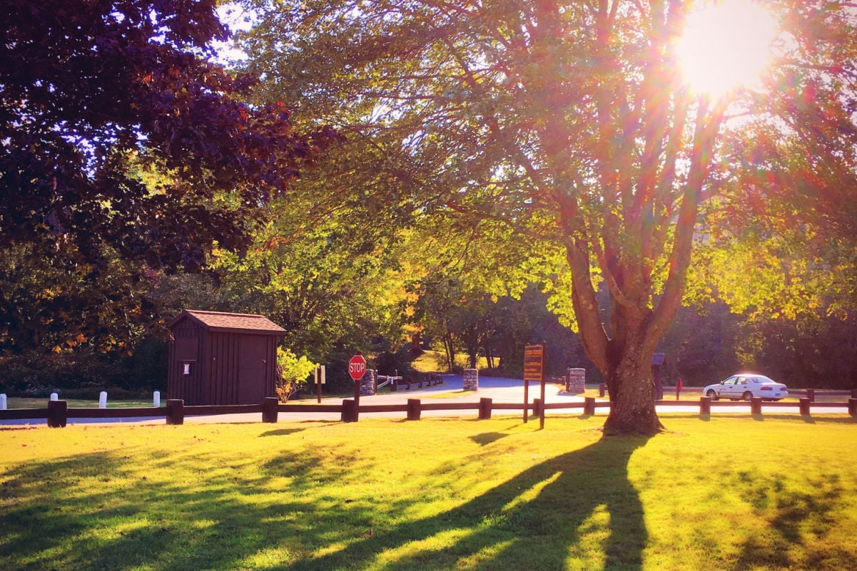 Sunlight through tree leaves with the shadow on the grass in black rock state park in new england Connecticut United states.