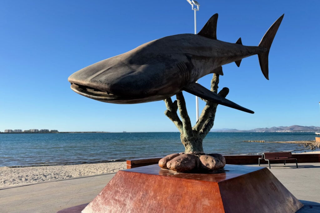 Whale Shark statue on boardwalk of La Paz Mexico. Photo by Tyler Fox