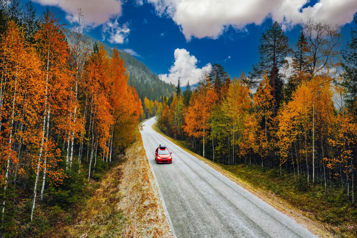 Aerial drone view of curved road with red car and fall forest with colorful leaves in Finland, Lapland.
