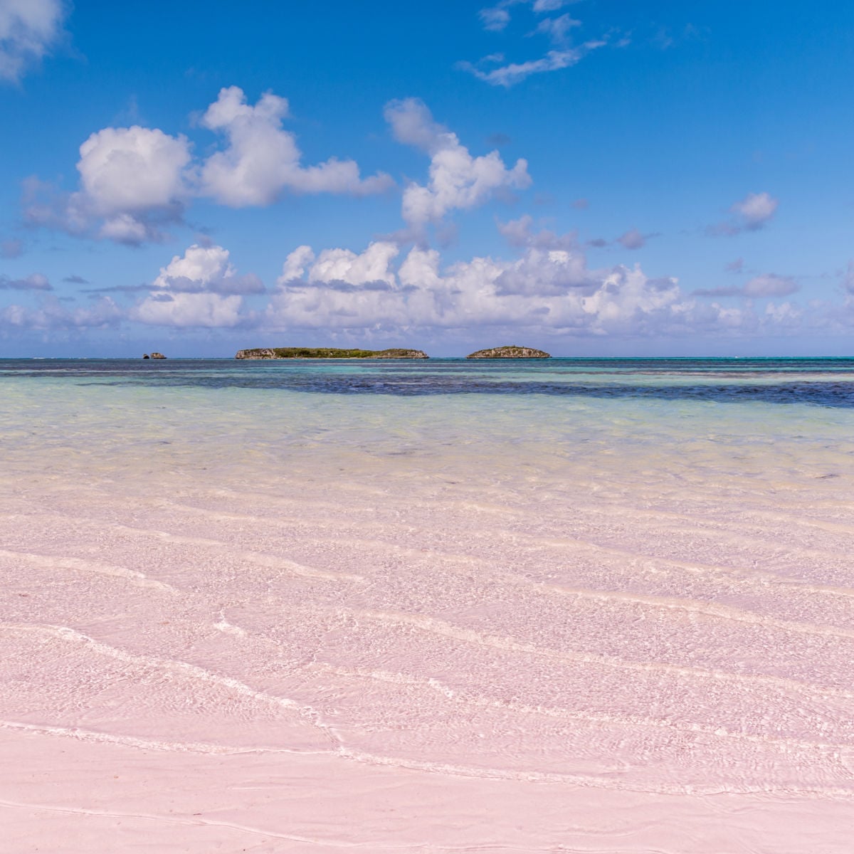 Bahamian Pink sand beach