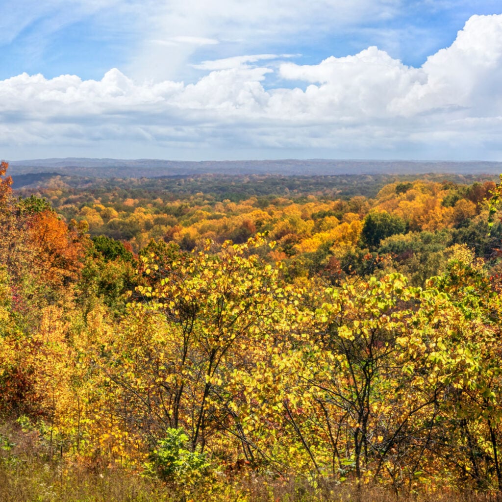 Brown County State Park in Indiana is renowned for it beautiful fall foliage vistas showing autumn leaves in many colors under a cloudy blue sky.