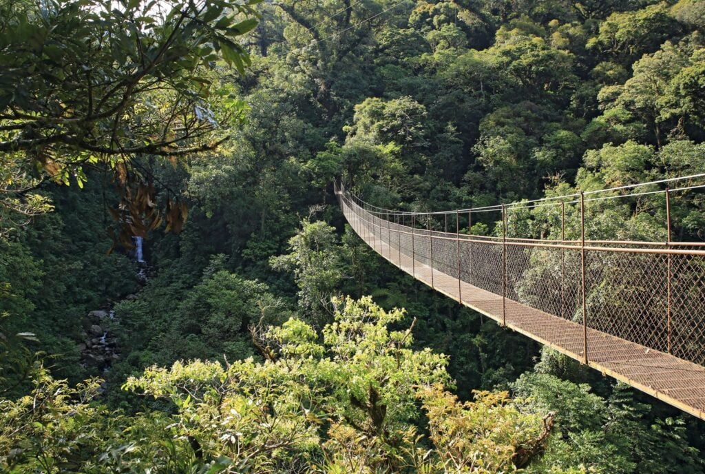 Canopy Trek Boquete Panama