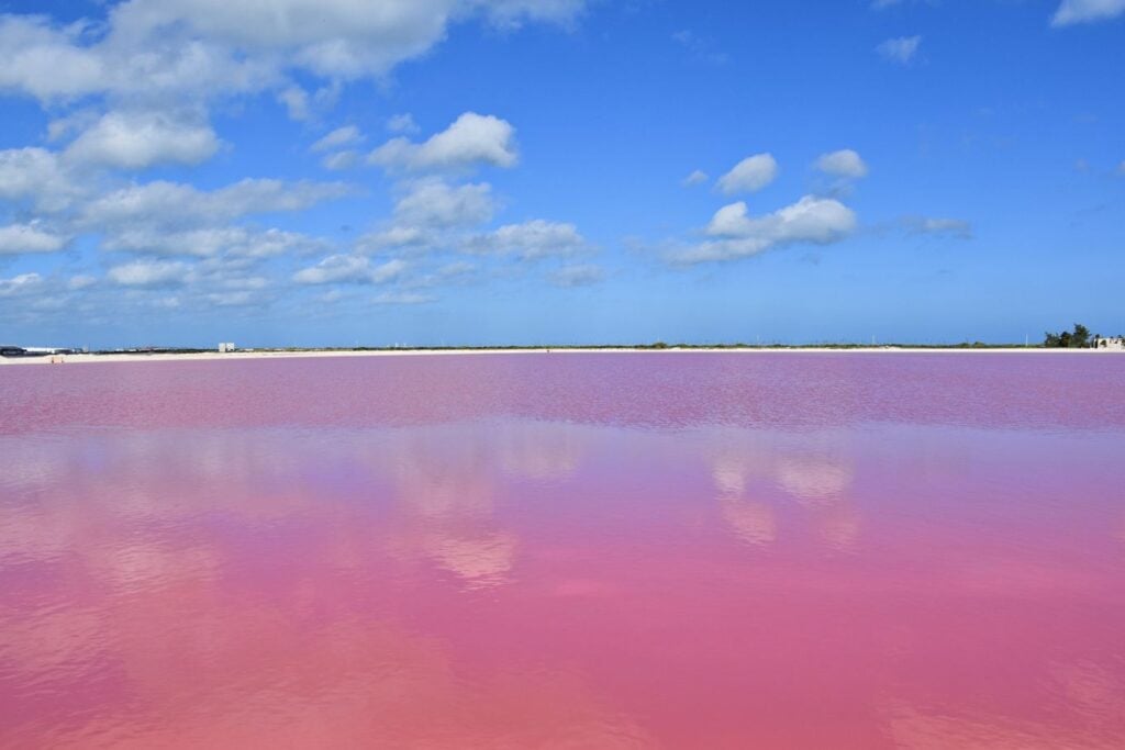 Las Coloradas (Yucatán)