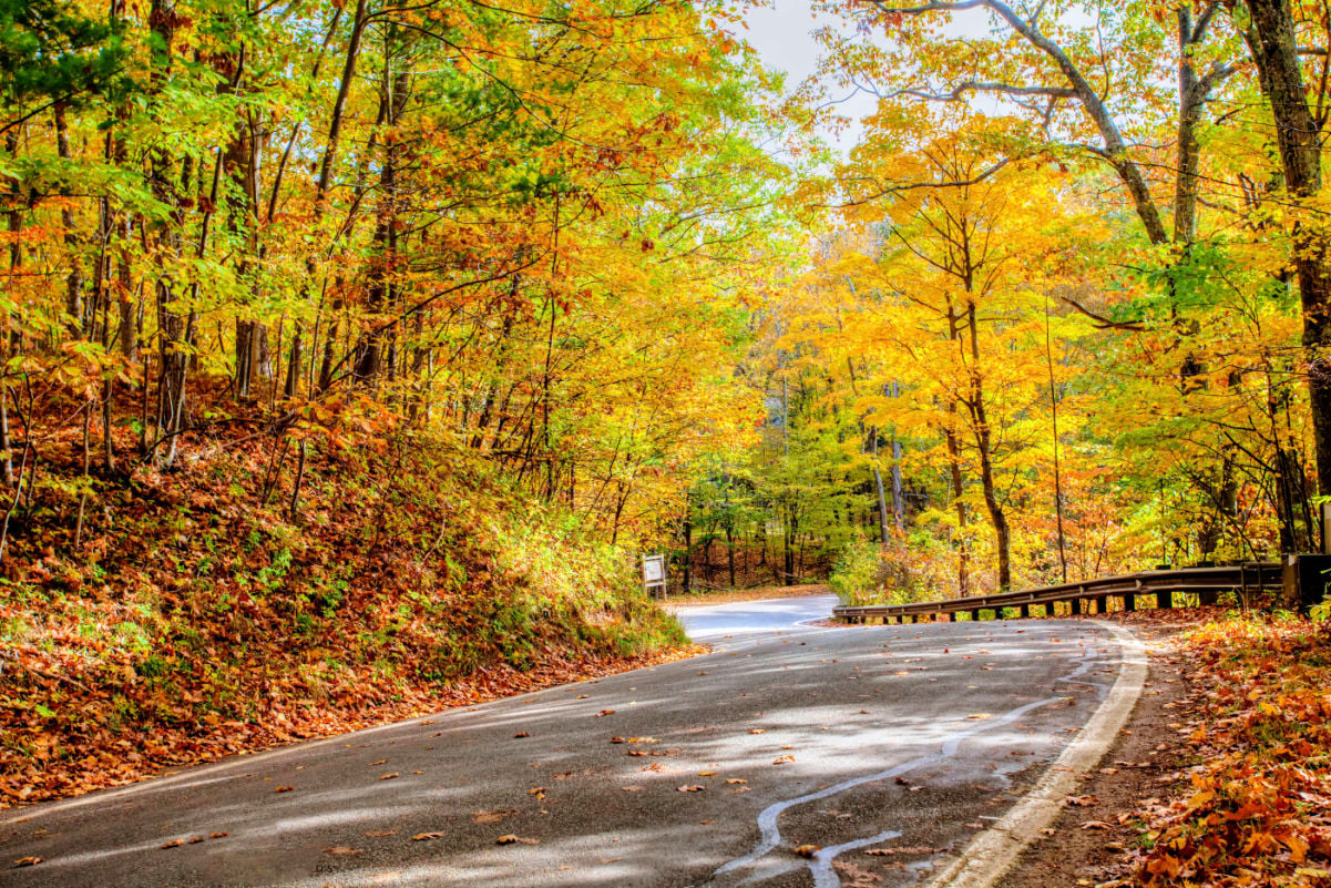 This 20-Mile Scenic Highway in Michigan Is Called the ‘Tunnel of Trees’—and It’s Spectacular in the Fall