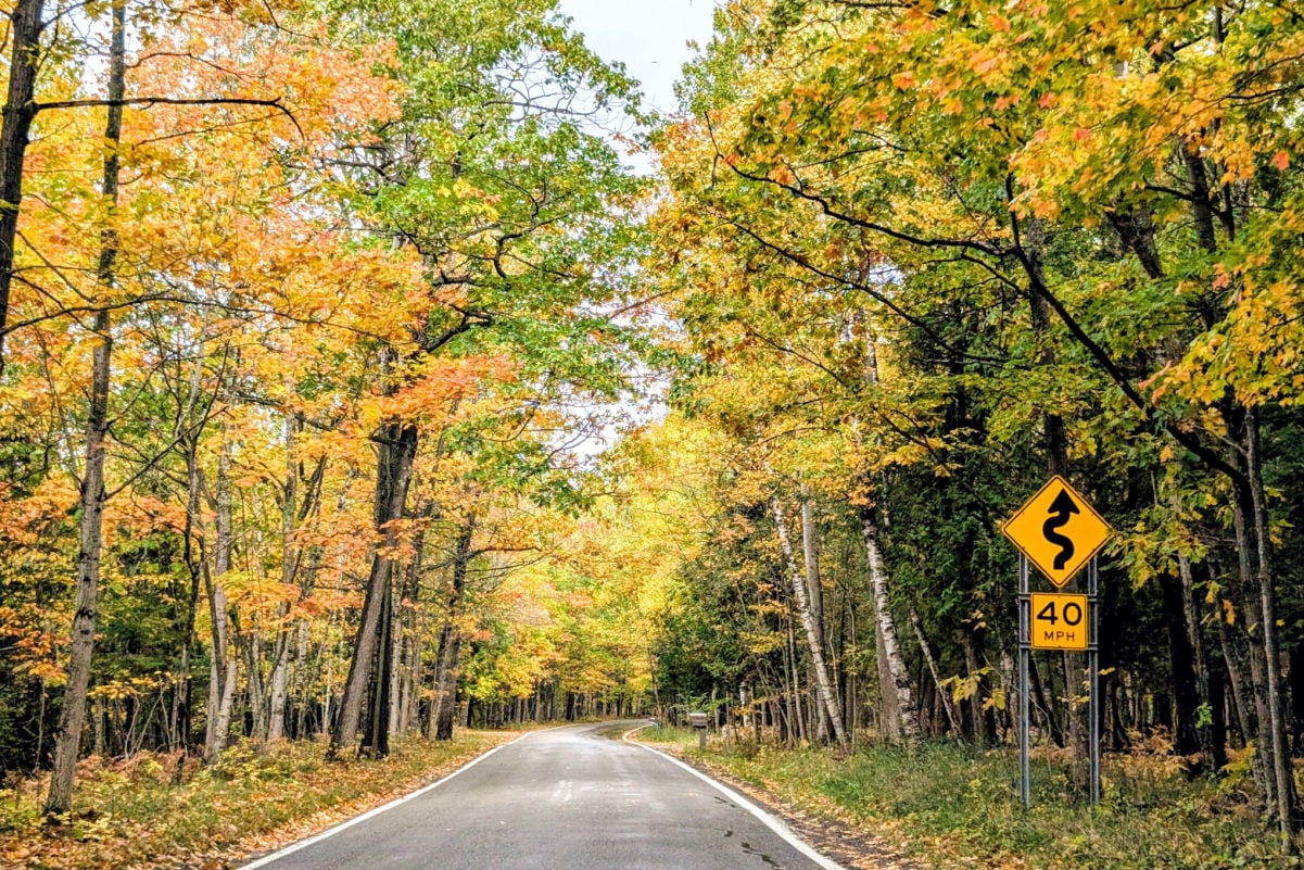 M-119 Tunnel of Trees Scenic Route Autumn Leaves Fall Colors Petoskey Harbor Springs Cross Village Michigan USA North America
