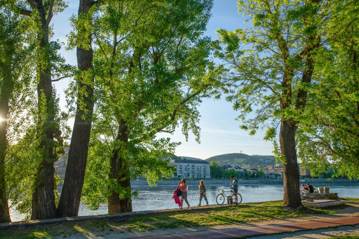 People walking among hugh trees on the bank of Margaret Island - in the background are the hills of the opposite bank and HHH (Hármashatár-hegy)