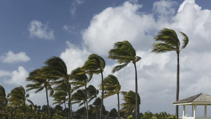 US Issues Highest Travel Advisory Warnings To Five More Countries