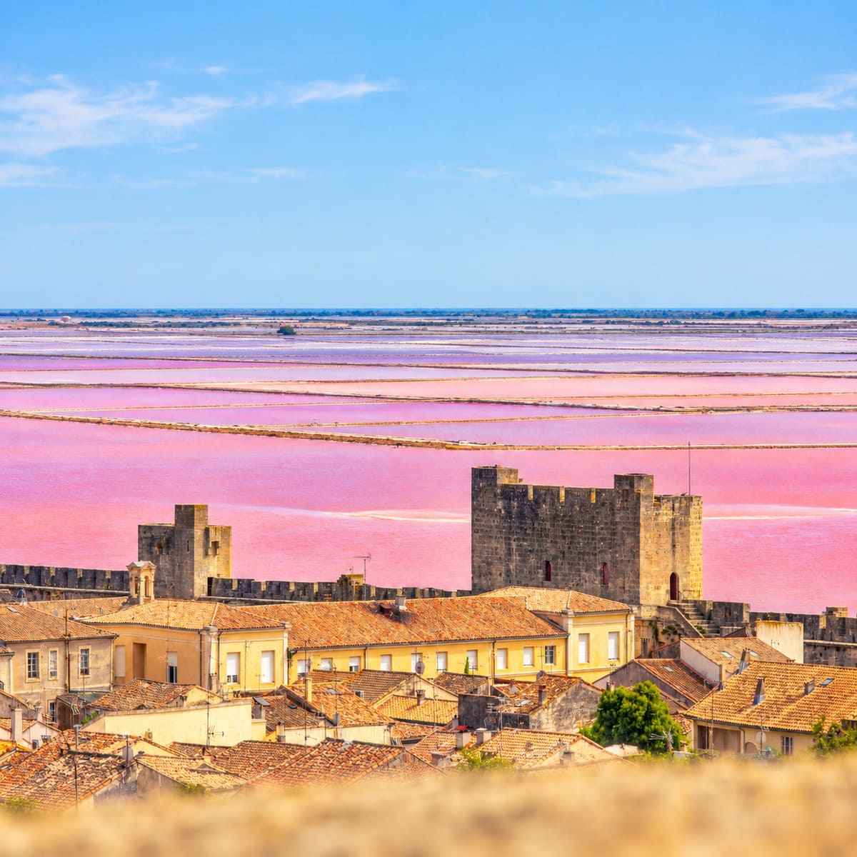 The Medieval Walled City Of Aigues-Mortes By A Pink Lake In France
