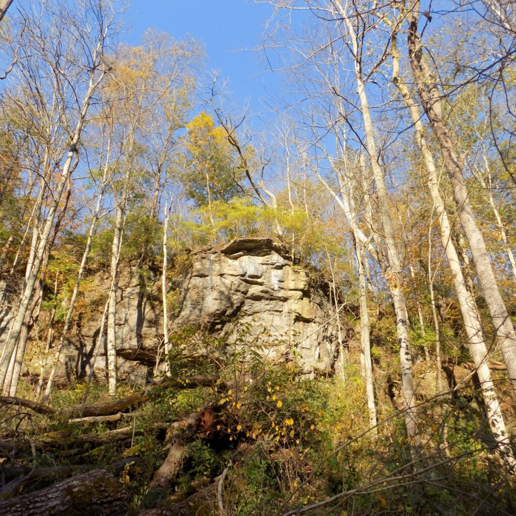 Walk Through John Bryan State Park