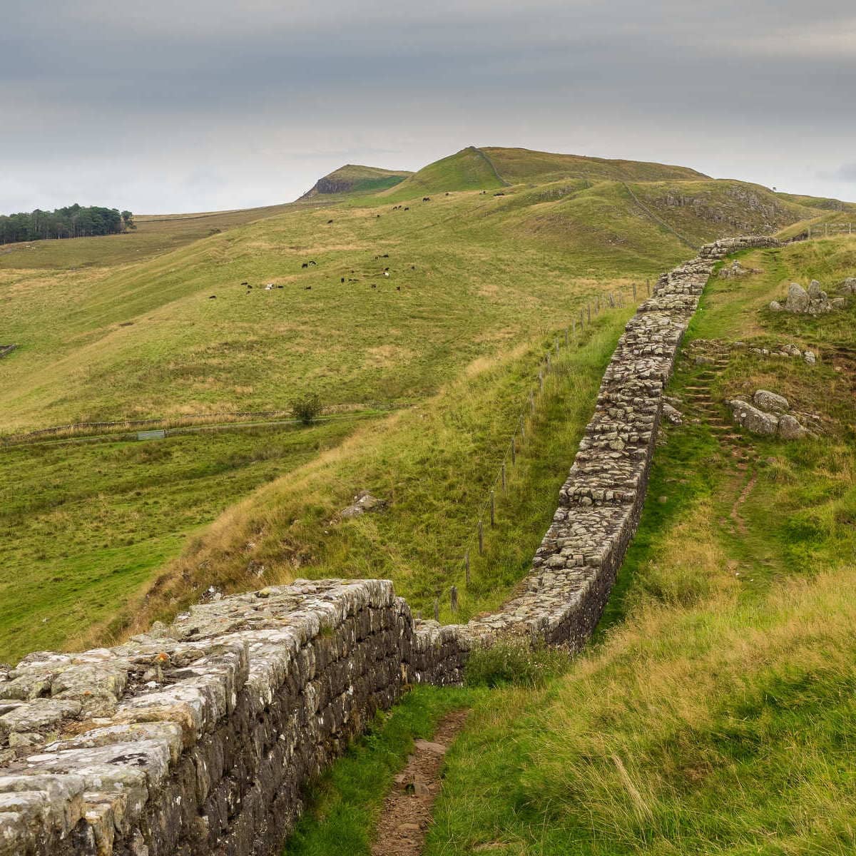 A Stretch Of The Roman Era Hadrian's Wall Near Wallsend In Northern England, United Kingdom
