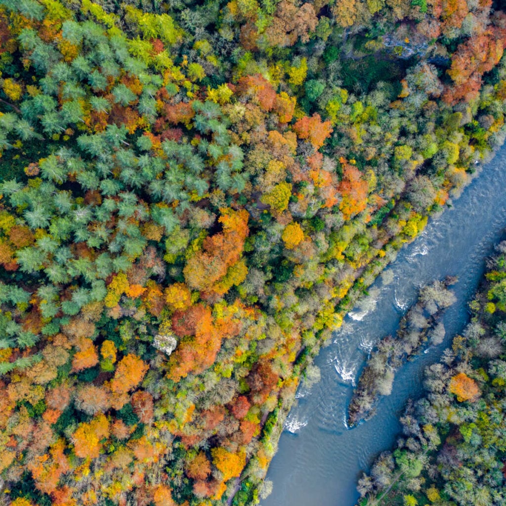 Aerial view of the Autumn leaves and colours at River Wye, Symonds Yat, Herefordshire, Midlands, England, UK