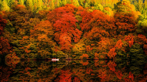 Autumn colour trees and boat on water at loch Faskally with mirror reflection on water located in Pitlochry, Perthshire, Scotland.