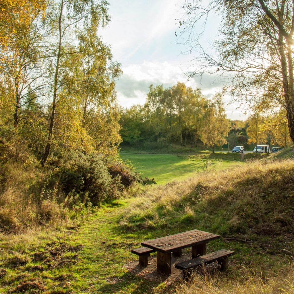 Autumn scenery in the Forest of Dean, England.