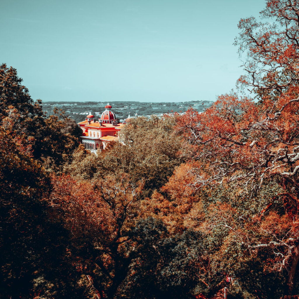 Autumnal view of Monserrate Palace partially hidden behind vibrant fall foliage in Sintra, Portugal, with the red domes contrasting against a soft blue sky and distant landscape