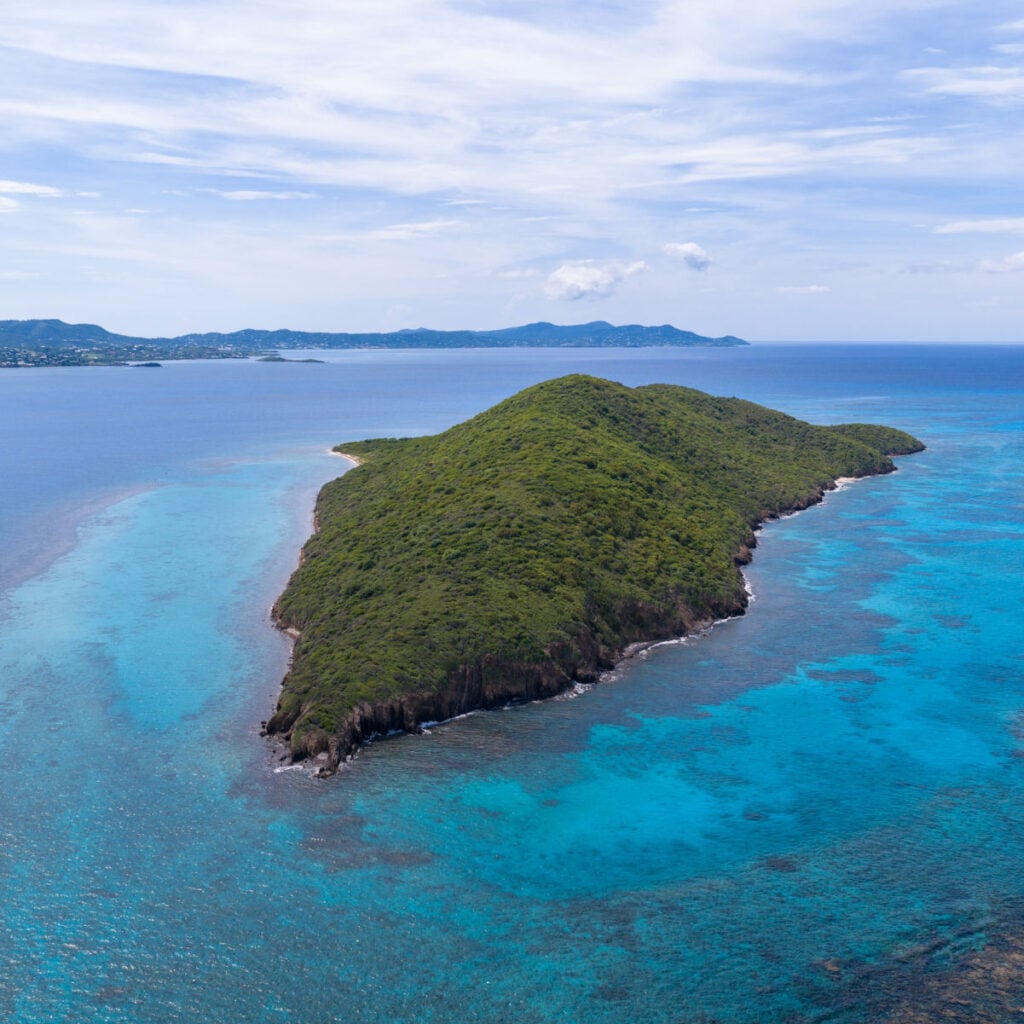 巴克岛圣克罗伊岛，海洋中的岛屿，令人惊叹的海洋生物