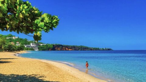 Delta Is Making It Easier To Visit These 3 Stunning Beach Destinations This Winter