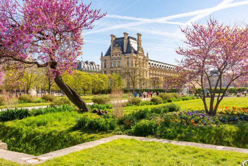 Louvre palace and Tuileries gardens in spring, Paris, France