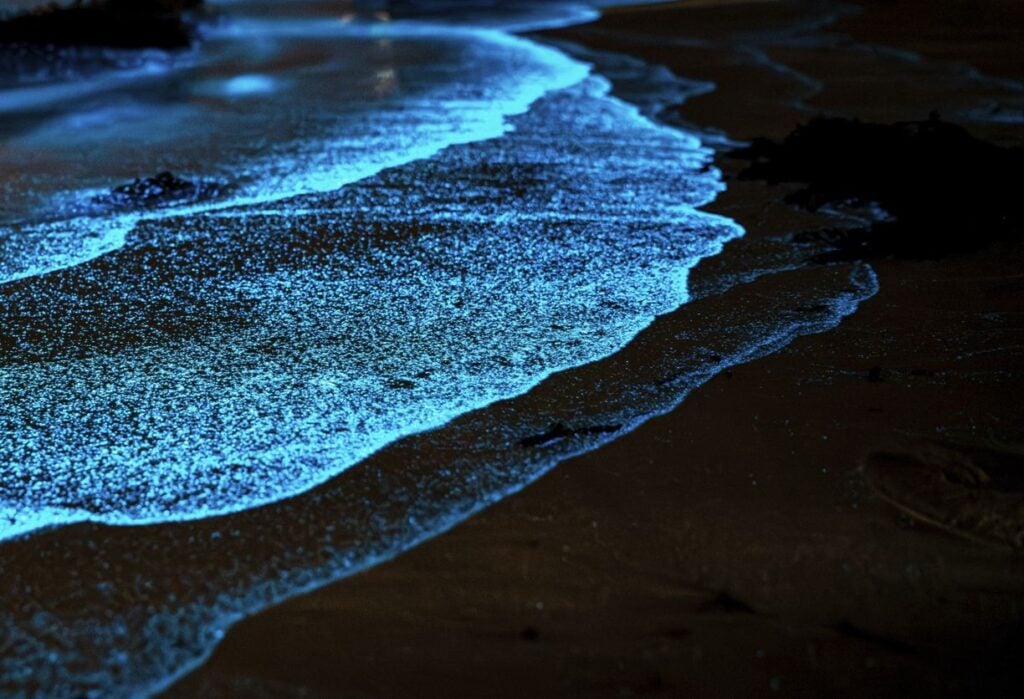 Night swim