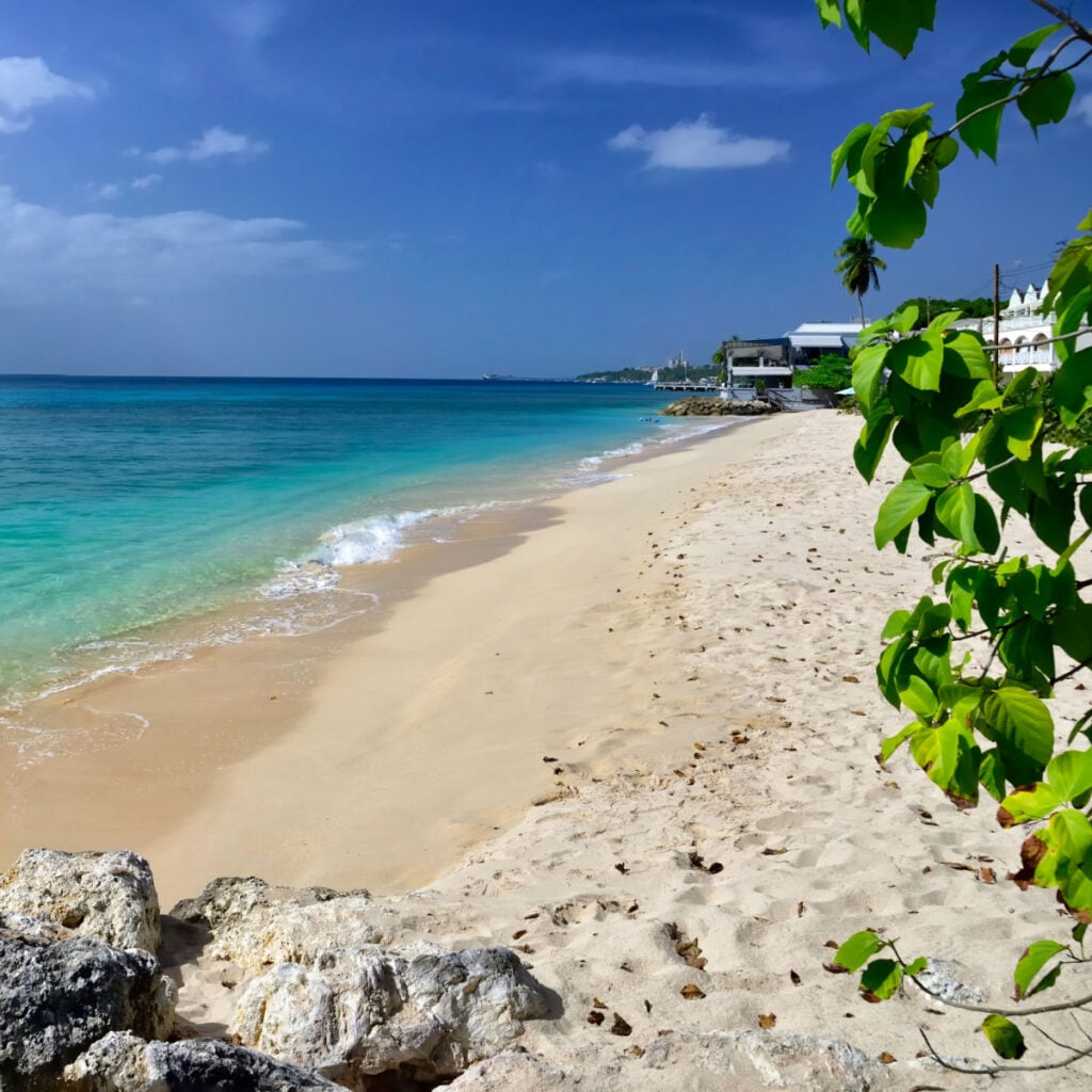One of many white sand beaches with turquoise ocean in the Speightstown town, located on the west coast of island Barbados, Caribbean Islands