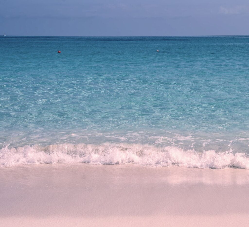 Pink sand beach on Harbour Island, Bahamas.