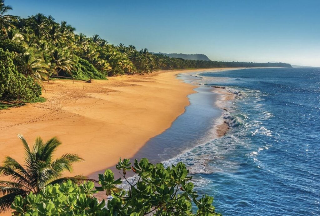 This Safe, Undiscovered Beach Town Has 83°F Ocean Water, 1000 Pound Turtles, and a $2 Boat Ride to Civilization