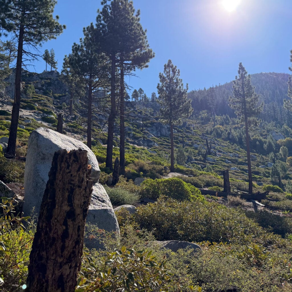 Trails in South Lake Tahoe, photo by Tyler Fox